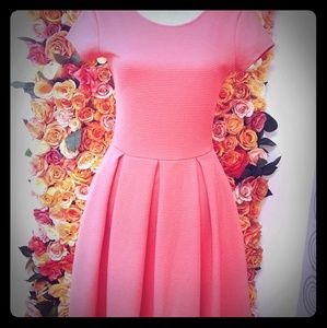 French Connection Coral Pink Flare Dress